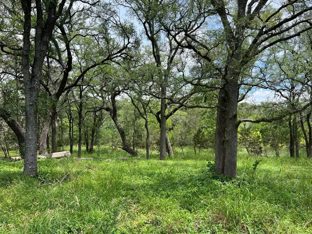 TBD Narrows Rd, Blanco, TX 78606 - #1