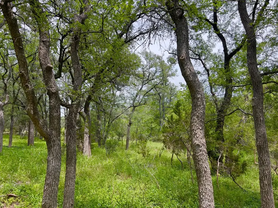 TBD Narrows Rd, Blanco, TX 78606 - #2