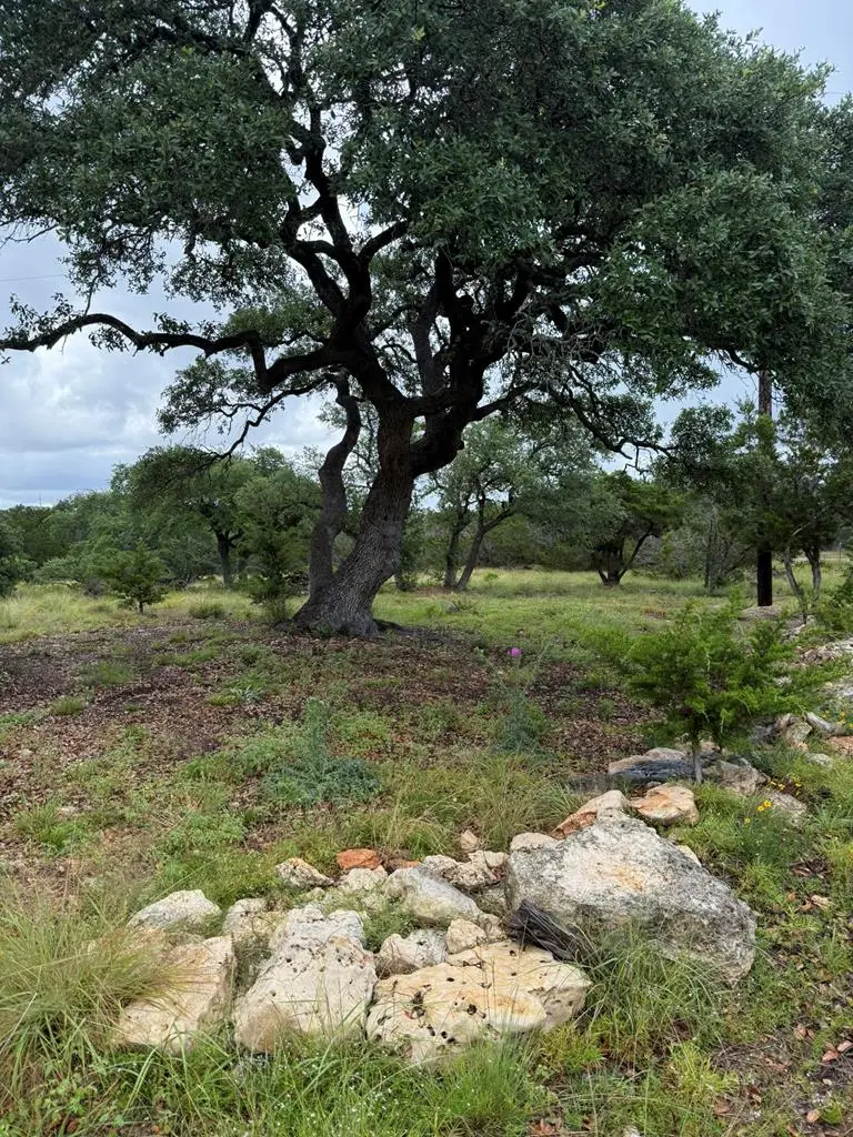 589 Rolling Hills Rd., Blanco, TX 78606 - #1