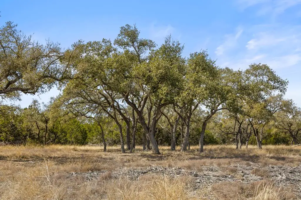 535 Becker Rd, Johnson City, TX 78636 - #1
