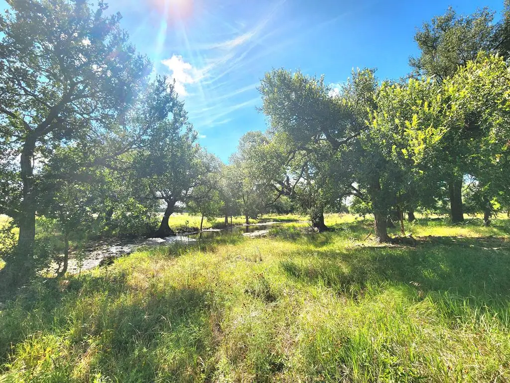 290 E County Rd 409, Cherokee, TX 76832 - #1