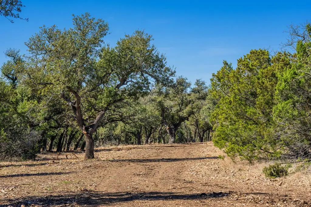 0000 Keese Rd, Fredericksburg, TX 78624 - #1