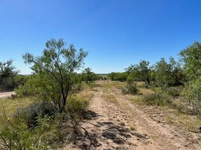 13910 County Rd 4483, Millersview, TX 76862 - #1