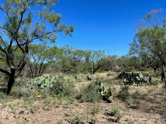 13910 County Rd 4483, Millersview, TX 76862 - #2