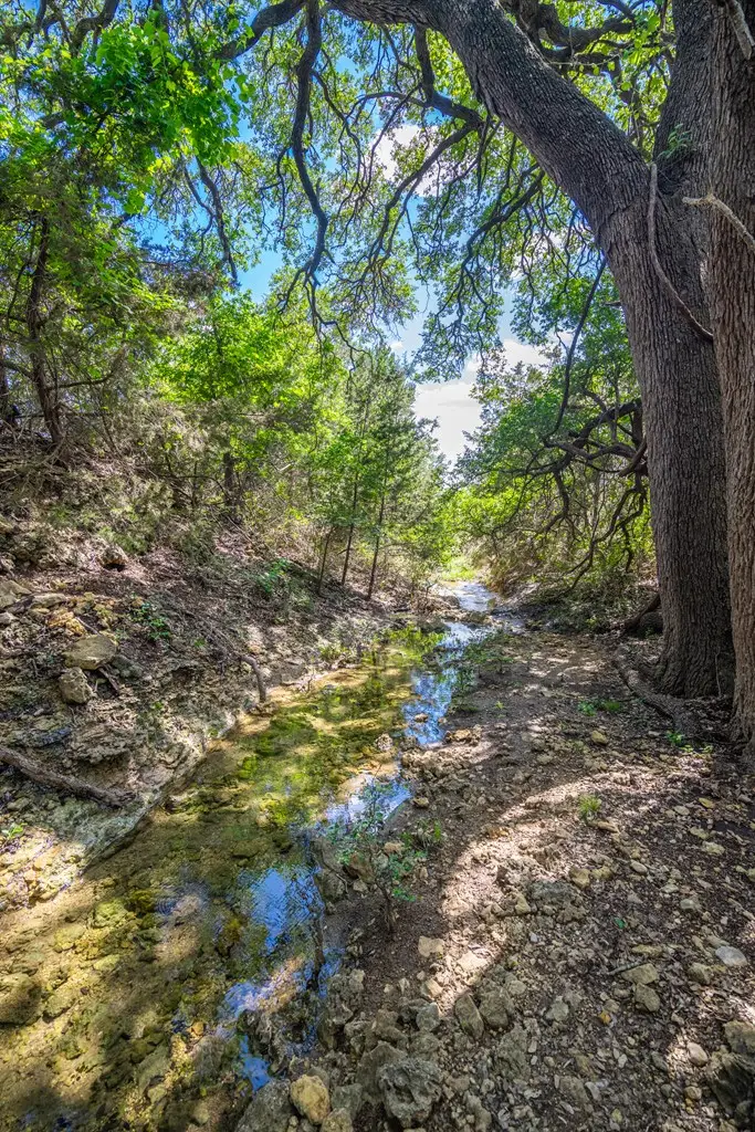 9750 Fm 243, Bertram, TX 78605 - #3