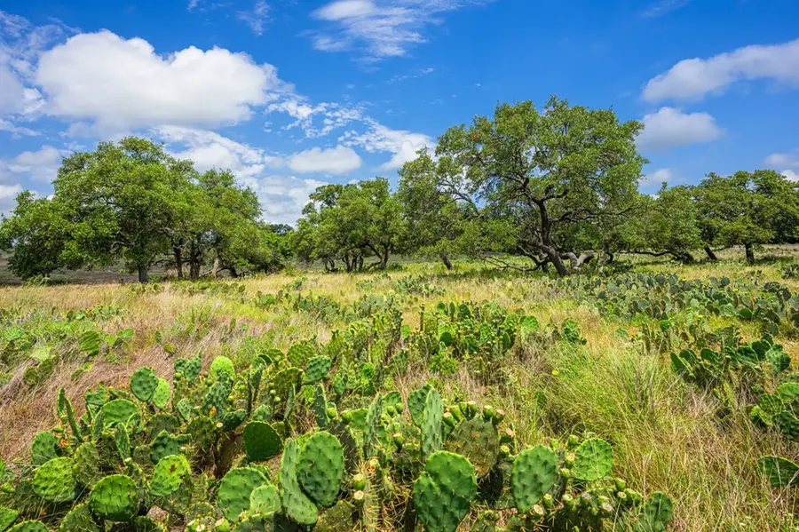 Lot 164 Cattlemans Crossing Dr, Kerrville, TX 78028 - #3