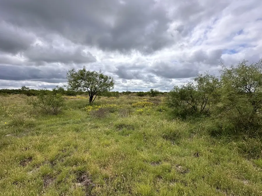 TBD County Rd 408, Eldorado, TX 76936 - #2