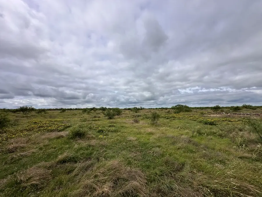 TBD County Rd 408, Eldorado, TX 76936 - #3