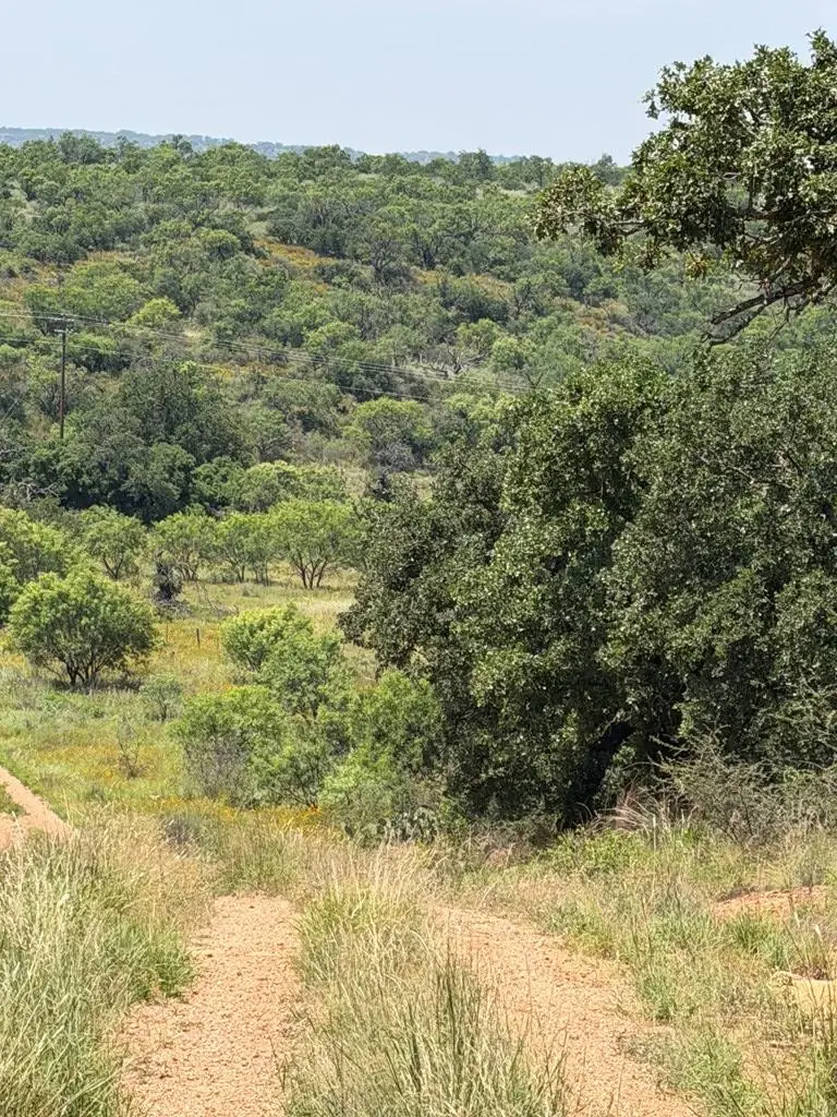 000 Little Willow Creek Road, Mason, TX 76856 - #2