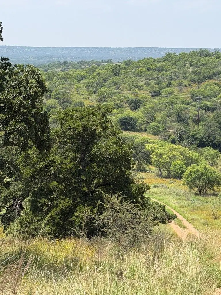 000 Little Willow Creek Road, Mason, TX 76856 - #3