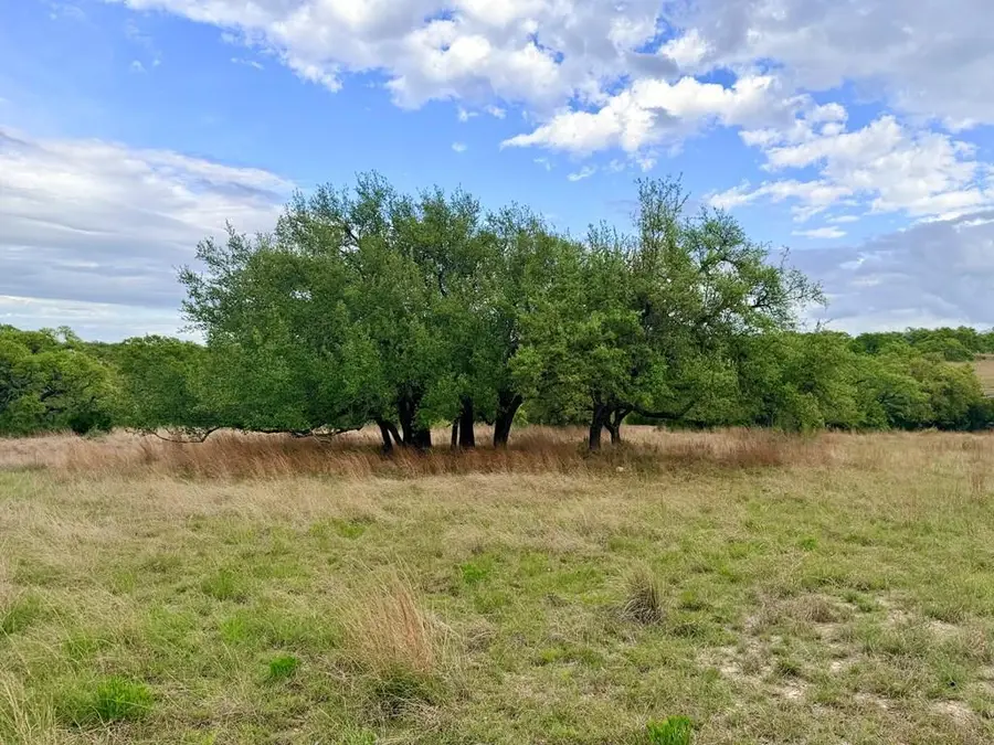 768 N Walnut Springs Rd, Johnson City, TX 78636 - #2