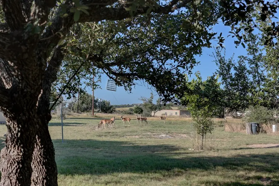 680 Windmill Ridge, Harper, TX 78631 - #2