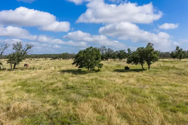 436 Stevens Ranch Rd, Harper, TX 78631