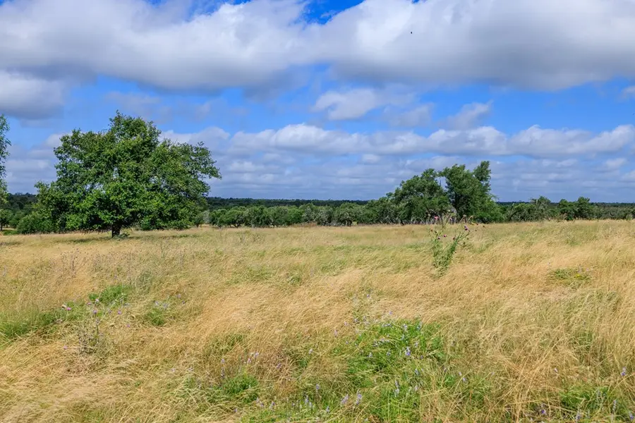 436 Stevens Ranch Rd, Harper, TX 78631 - #3