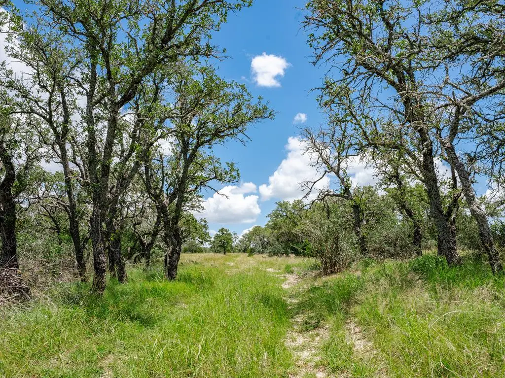 1632 Link, Doss, TX 78618 - #1