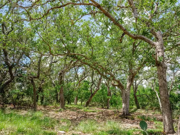 1632 Link, Doss, TX 78618