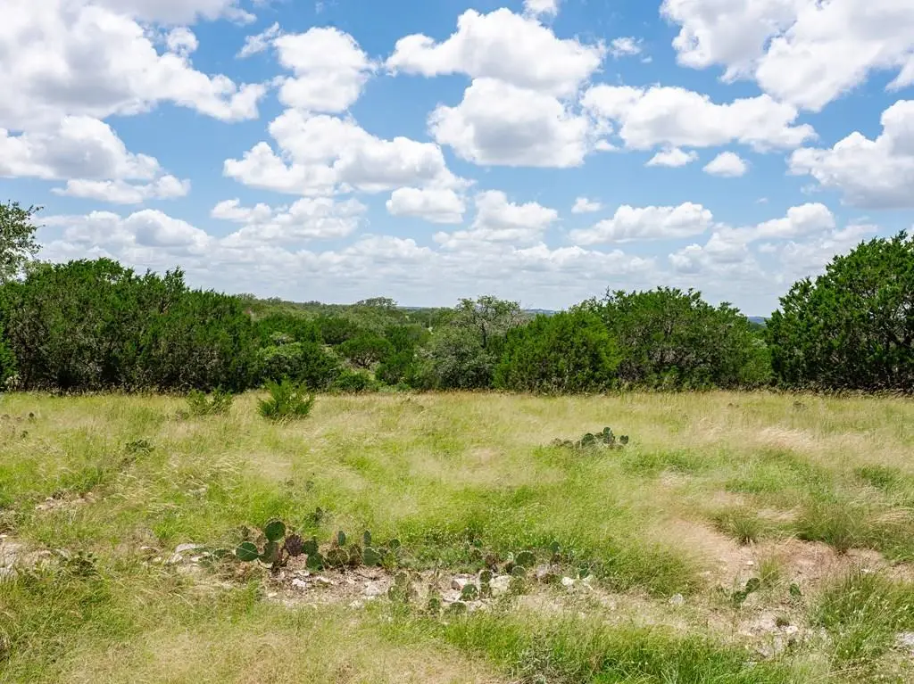1632 Link, Doss, TX 78618 - #1