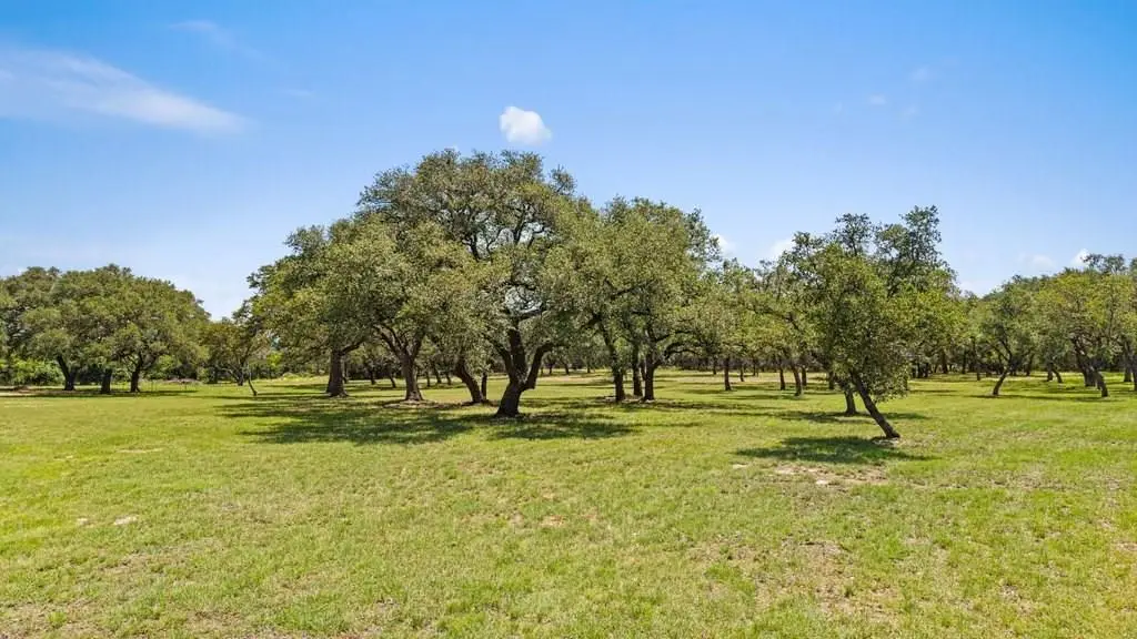 118 E Creekview Dr, Johnson City, TX 78636 - #1