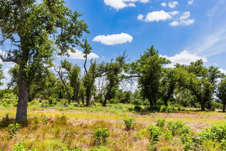 Lot 37 Boot Ranch Circle, Fredericksburg, TX 78624 - #2