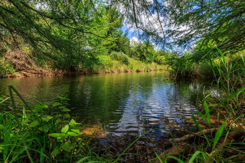 1670 Fm 2093, Fredericksburg, TX 78624 - #1