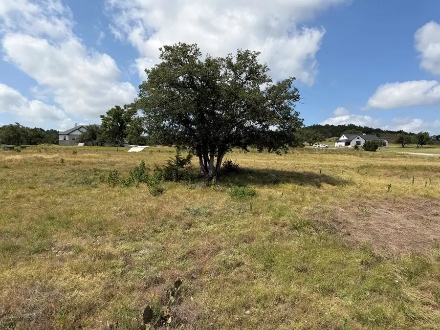 THRIVING OAK DR Thriving Oak Dr., Fredericksburg, TX 78624 - #2