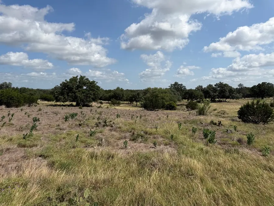 THRIVING OAK DR Thriving Oak Dr., Fredericksburg, TX 78624 - #3