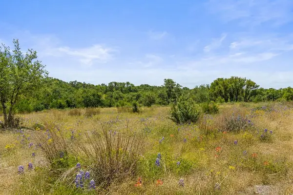 207 Verbena, Johnson City, TX 78636