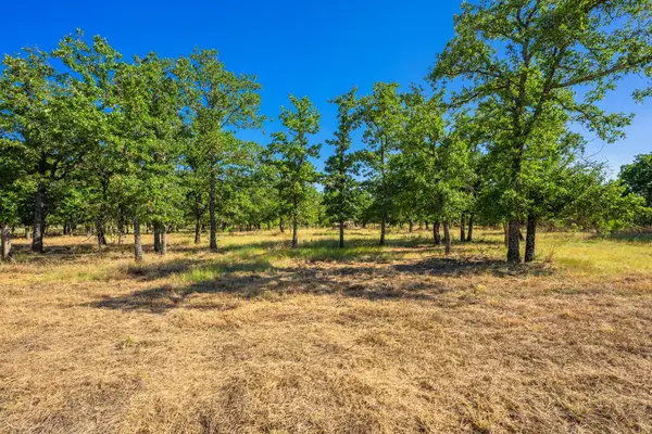 560 Mystic Oaks Trail, Fredericksburg, TX 78624
