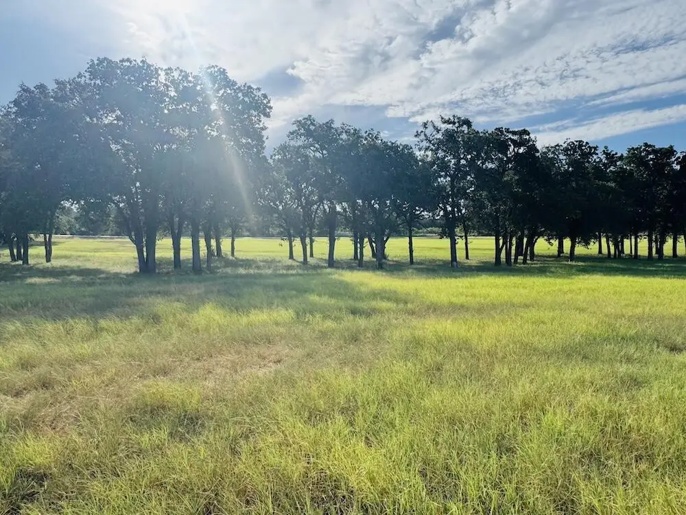 1 Sultemeier-moellering Rd, Fredericksburg, TX 78624 - #1