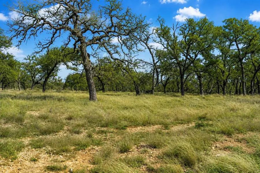 9 SE Silas Trail, Fredericksburg, TX 78624 - #3