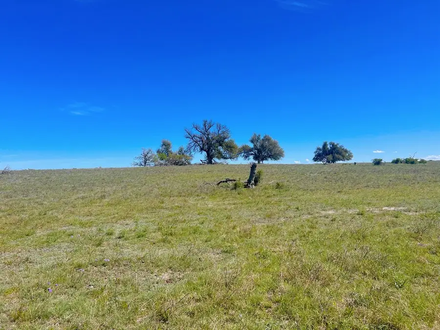 283 Cut Off Rd, Fredericksburg, TX 78624 - #3