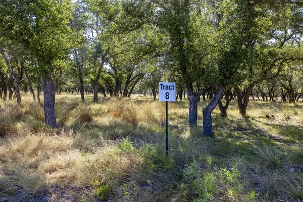 lot 8 Legacy Oaks Dr, Harper, TX 78631