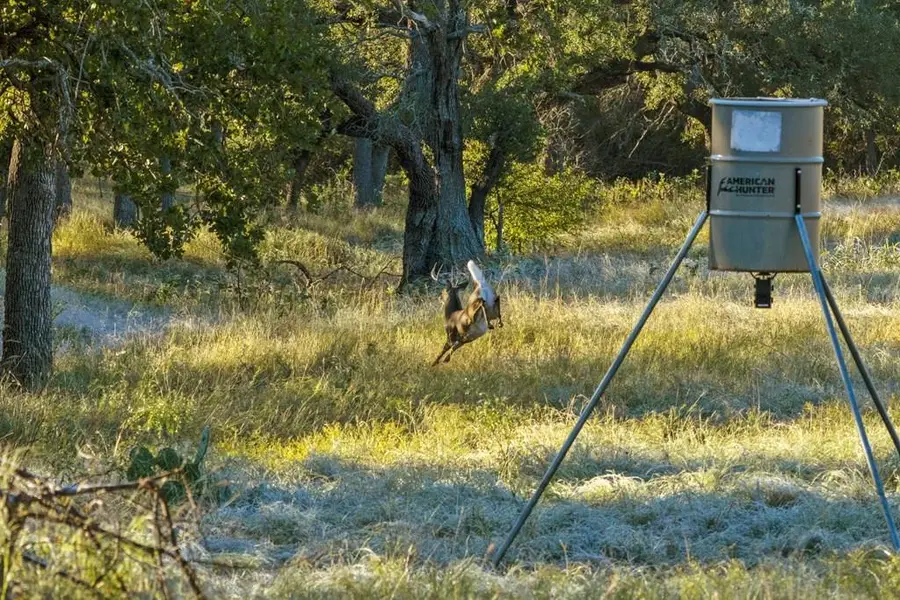 307 Gold-schaefer Rd, Fredericksburg, TX 78624 - #2