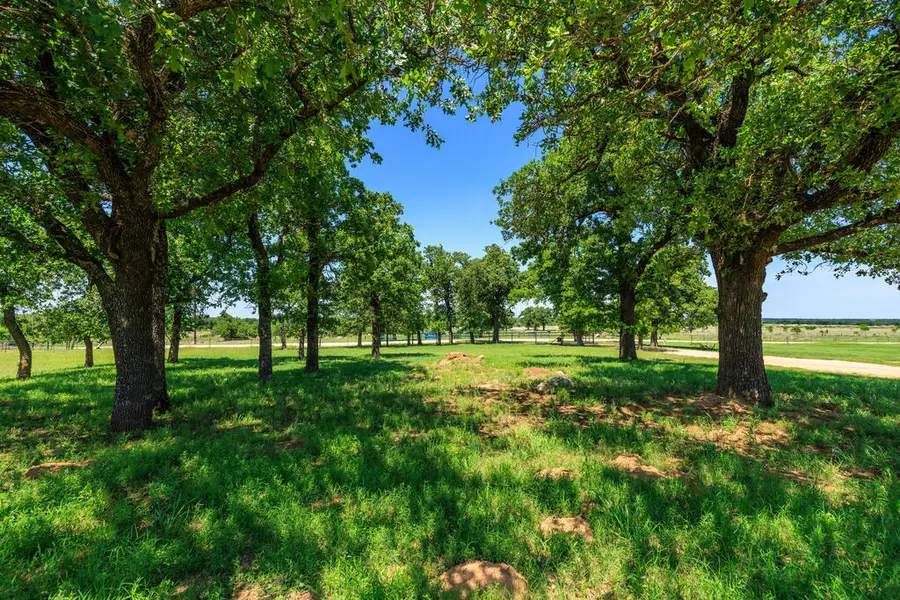 647 Eckert Rd, Fredericksburg, TX 78624 - #3