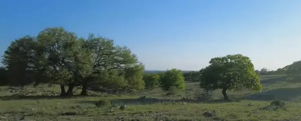 77 Cattlemans Crossing Dr #77, Kerrville, TX 78028