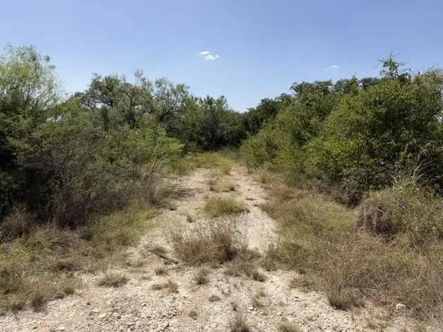 1-4, 5-6 North Grant, Brady, TX 76825 - #1
