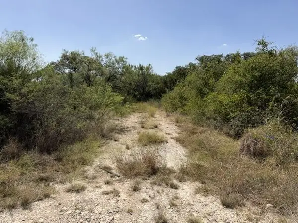 1-4, 5-6 North Grant, Brady, TX 76825
