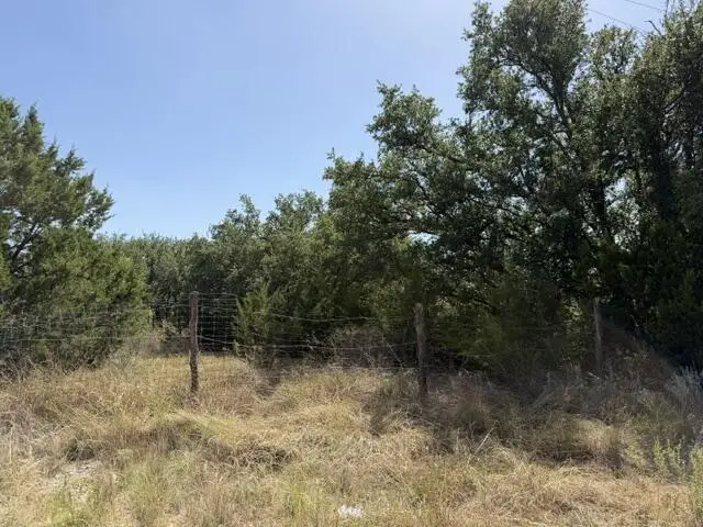 1-4, 5-6 North Grant, Brady, TX 76825 - #2