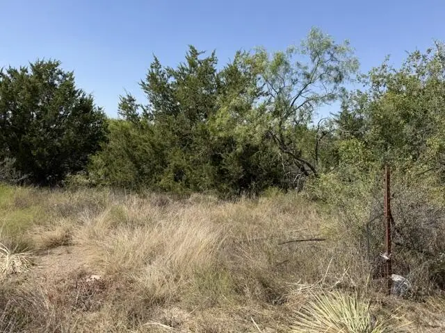 1-4, 5-6 North Grant, Brady, TX 76825 - #3