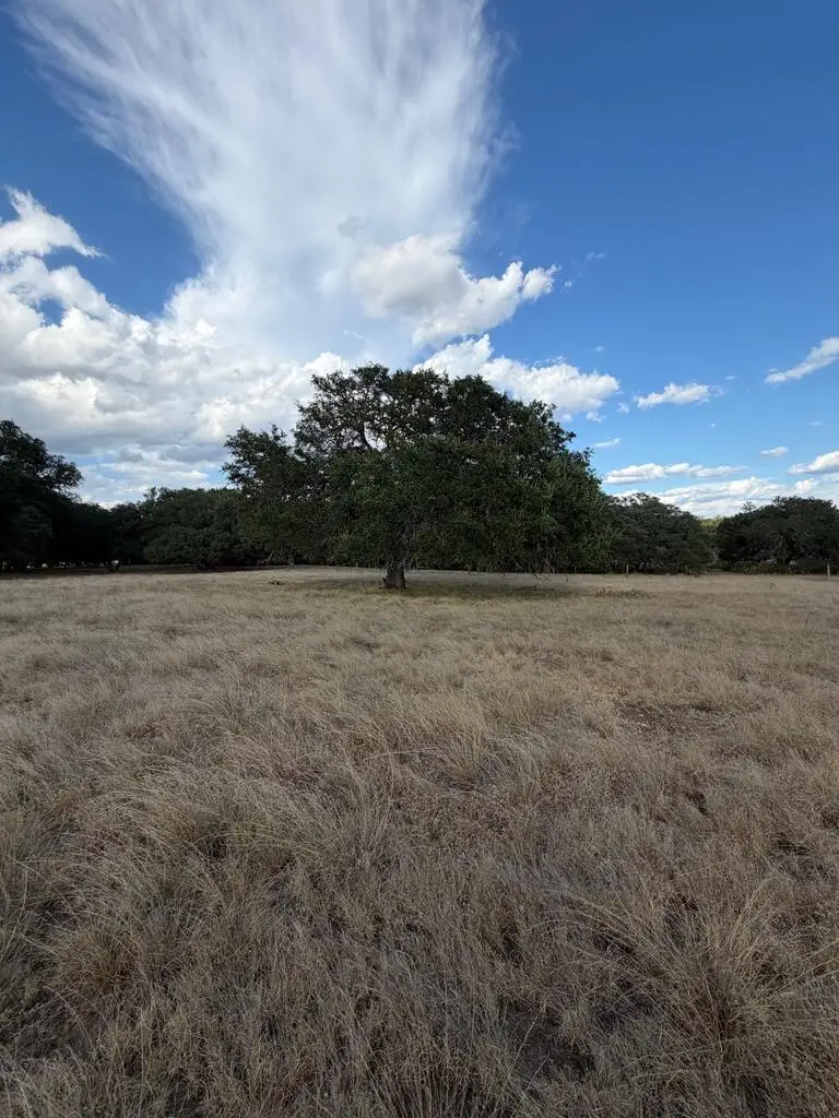 TBD Ranch Rd 1623, Stonewall, TX 78671 - #1