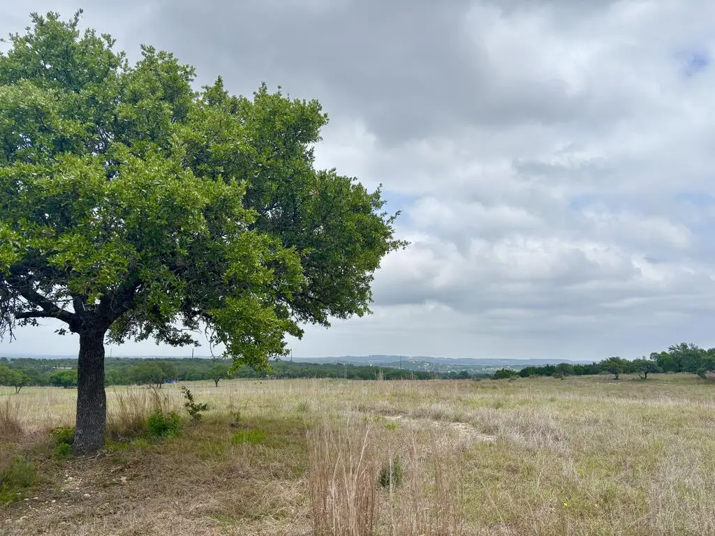 000 Watch Hill Ln, Stonewall, TX 78624 - #1
