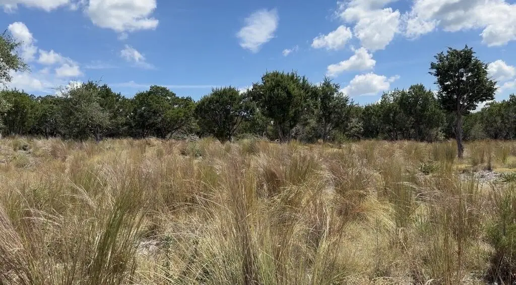 00 Cool Creek Rd, Camp Verde, TX 78010 - #1