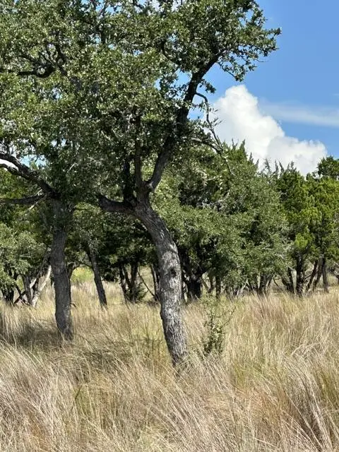 00 Cool Creek Rd, Camp Verde, TX 78010 - #2