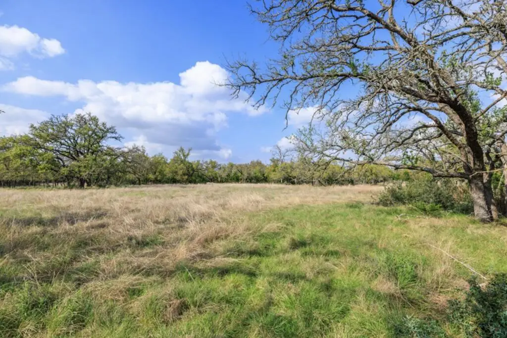 7 Duderstadt Rd, Harper, TX 78631 - #1