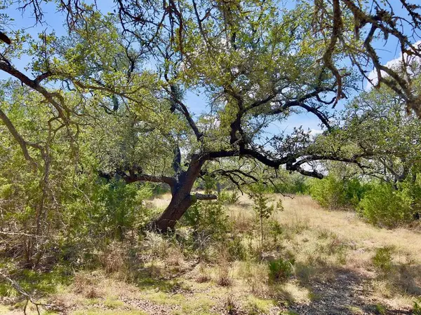992 Other, Blanco, TX 78606