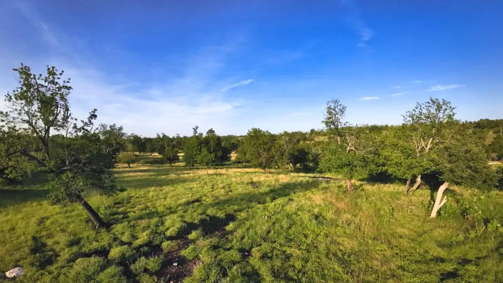 0 Loudon Rd, Fredericksburg, TX 78624 - #1