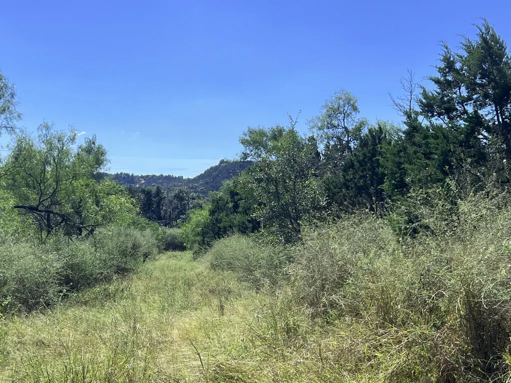 00 Lower Crabapple Rd, Fredericksburg, TX 78624 - #1