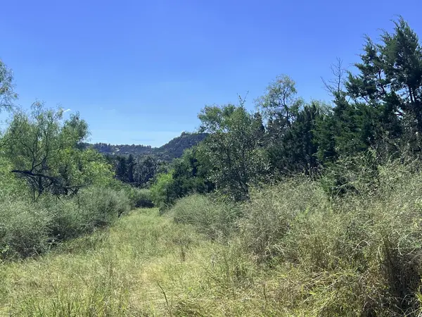 00 Lower Crabapple Rd, Fredericksburg, TX 78624