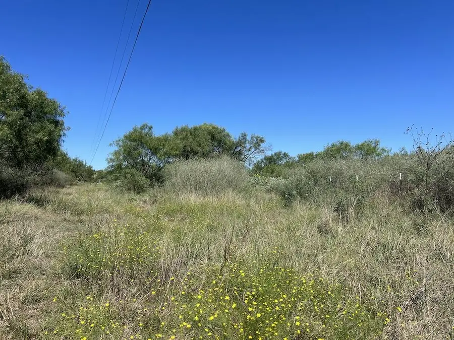 00 Lower Crabapple Rd, Fredericksburg, TX 78624 - #2