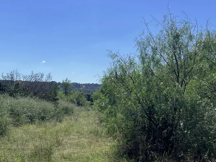 00 Lower Crabapple Rd, Fredericksburg, TX 78624 - #3